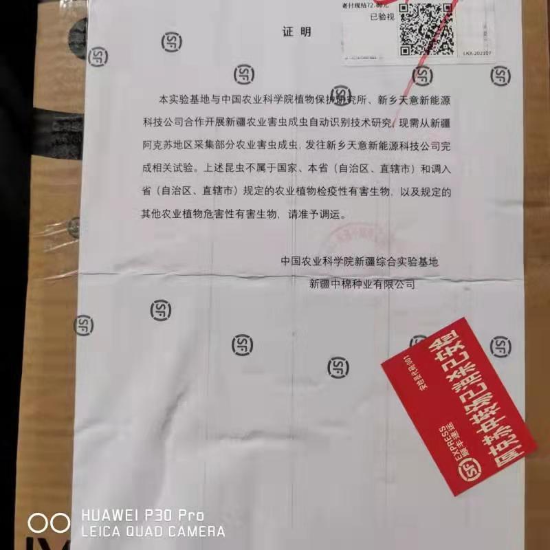 害蟲(chóng)標本